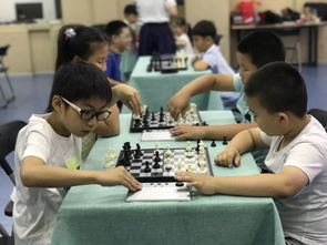 2019年泰達(dá)文化藝術(shù)中心秋季班報名開始拉